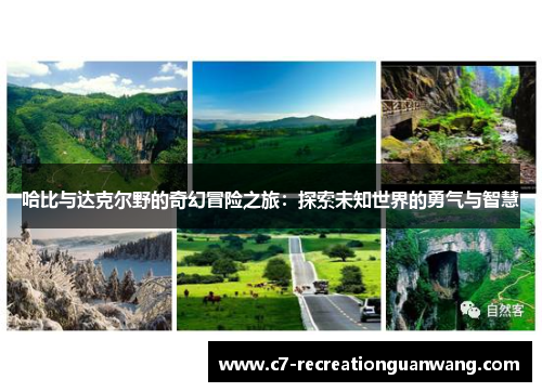 哈比与达克尔野的奇幻冒险之旅：探索未知世界的勇气与智慧